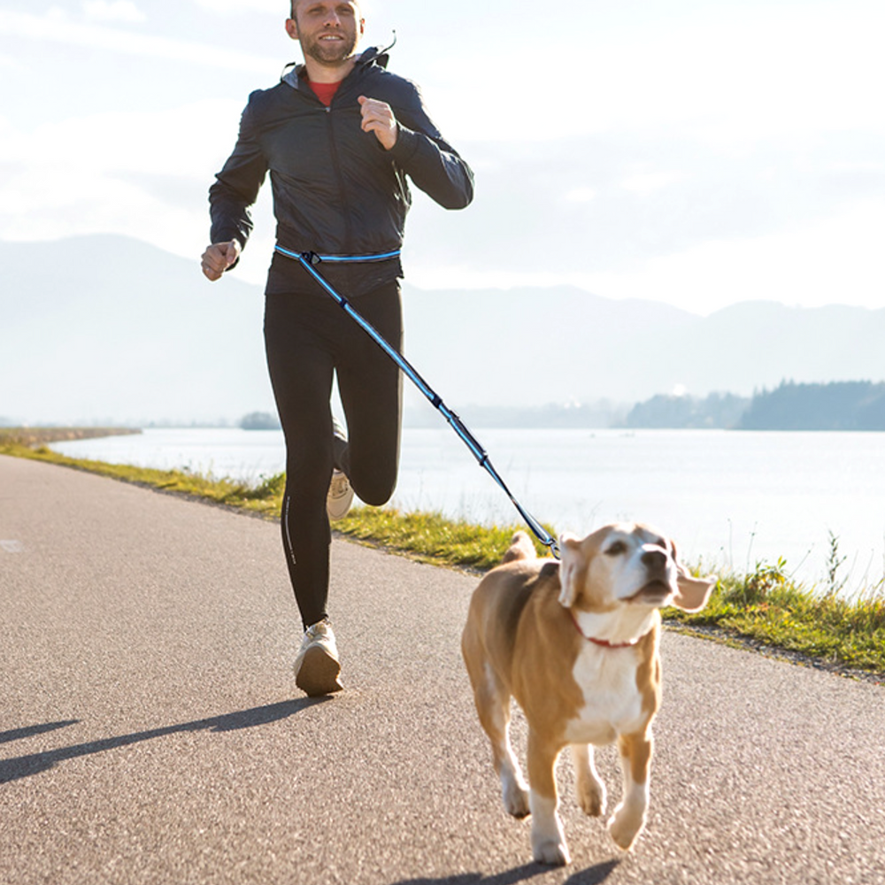 퍼플펫 강아지 핸즈프리 리드줄 산책줄 소형견 중형견 대형견 리드줄 2.1M