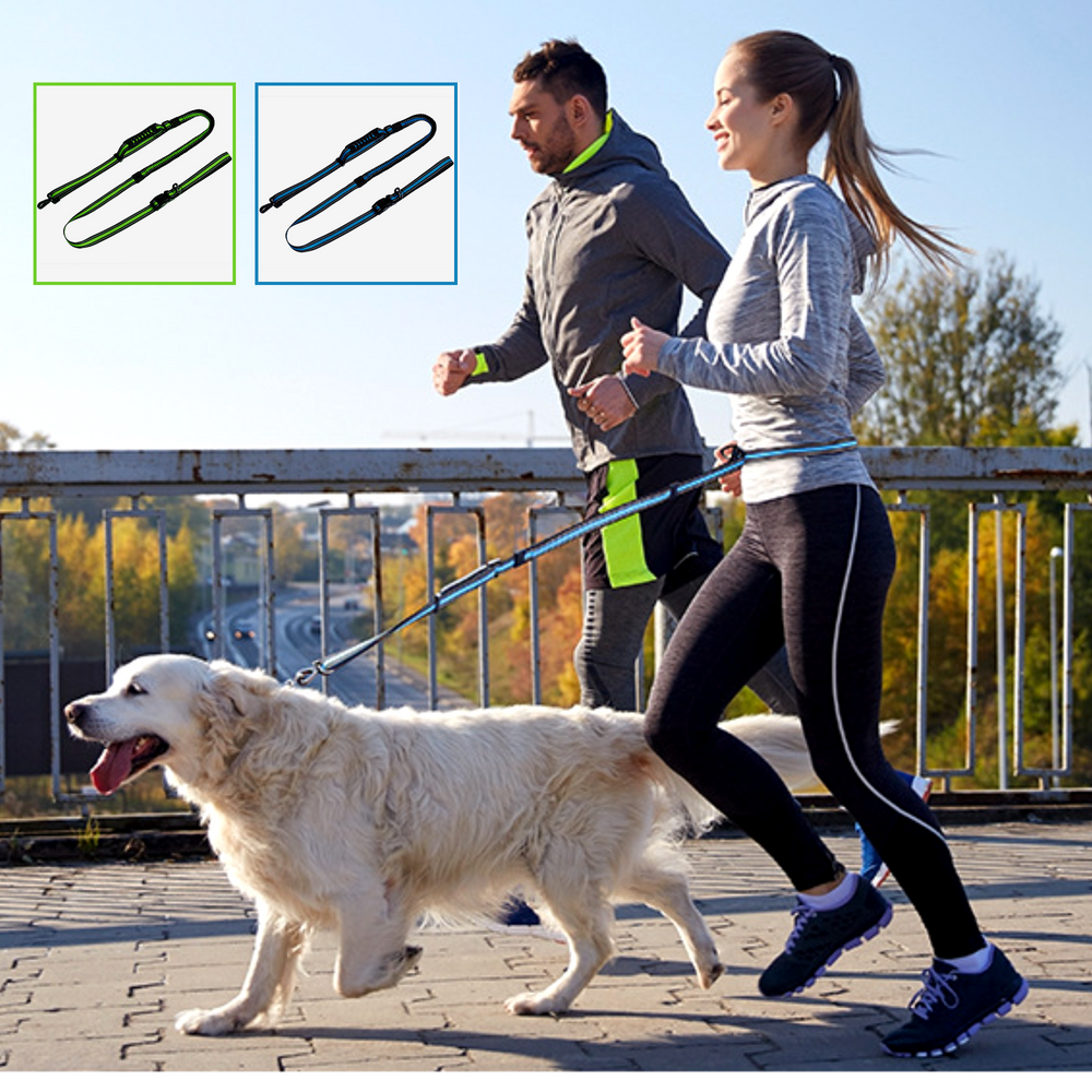 퍼플펫 강아지 핸즈프리 리드줄 산책줄 소형견 중형견 대형견 리드줄 2.1M