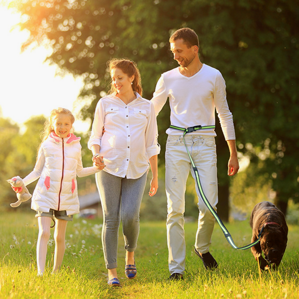 퍼플펫 강아지 핸즈프리 리드줄 산책줄 소형견 중형견 대형견 리드줄 2.1M