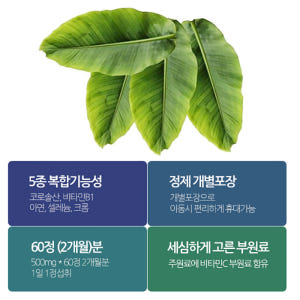 바나바잎 정제 혈당 영양제 식후 혈당 뉴트리바이옴(뉴바옴) 바나바 잎 정... 맛있게 먹은 솔직 후기 - 상품 이미지 2