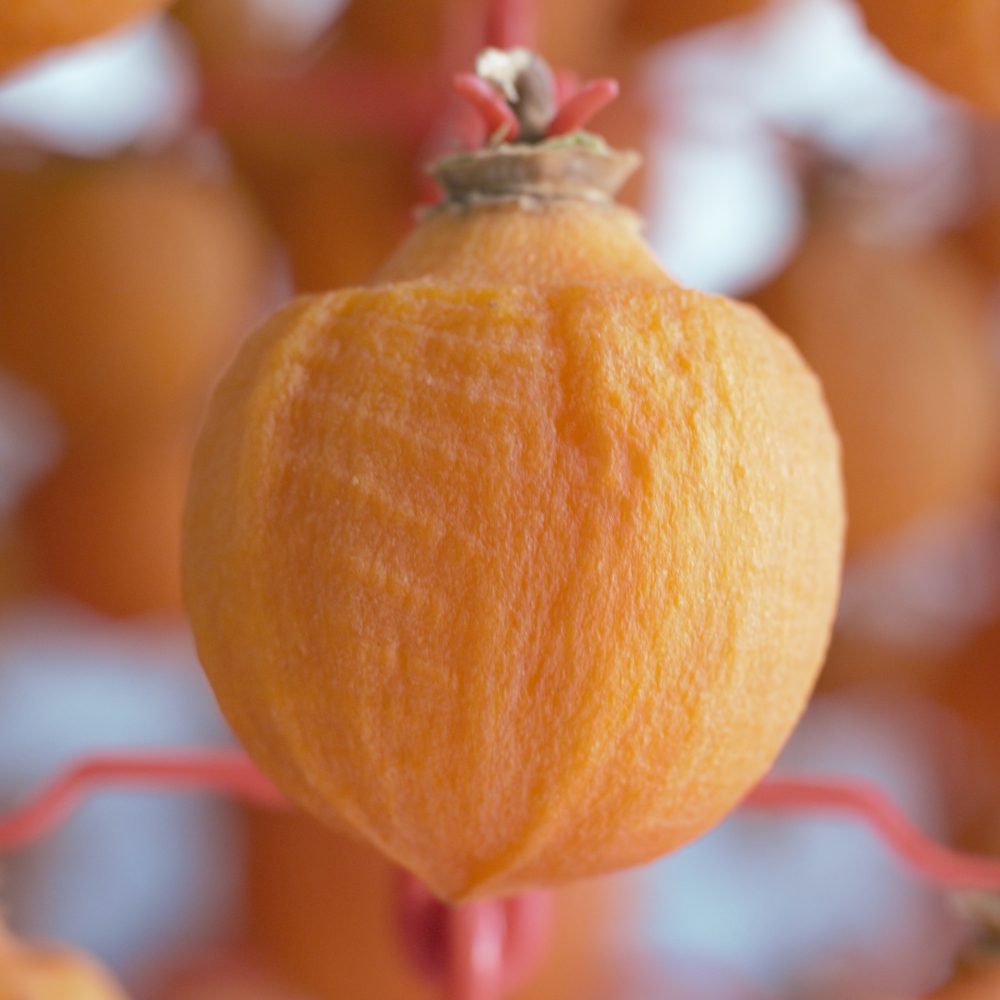 상주 곶감 반건시 선물세트 치즈 곶감호두말이 가정용 못난이