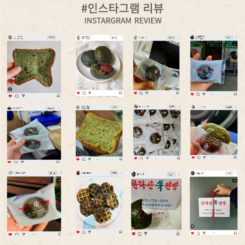 제주쑥찐빵 제주쑥빵 제주도특산품 저당수제팥 건강간식 식사대용 판매처 상세 정보 이미지 4