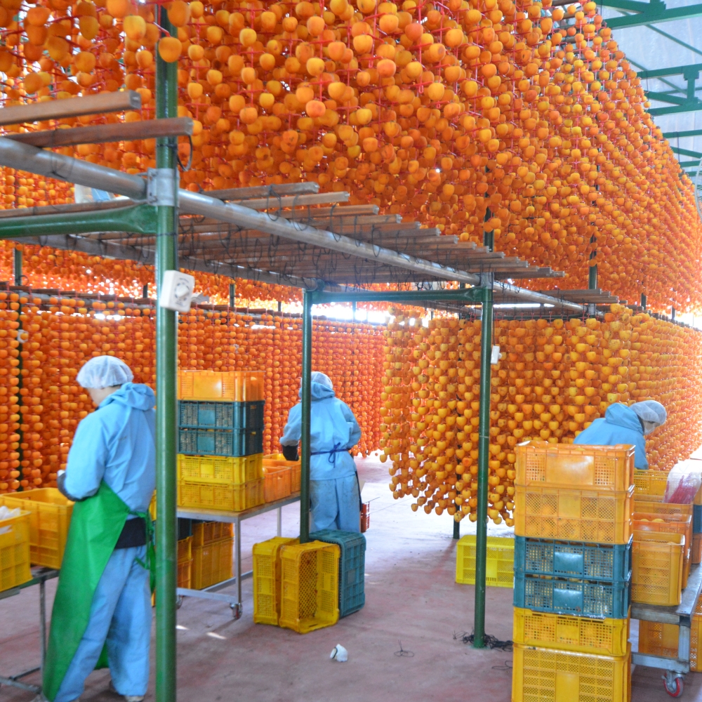 상주 곶감 반건시 선물세트 치즈 곶감호두말이 가정용 못난이