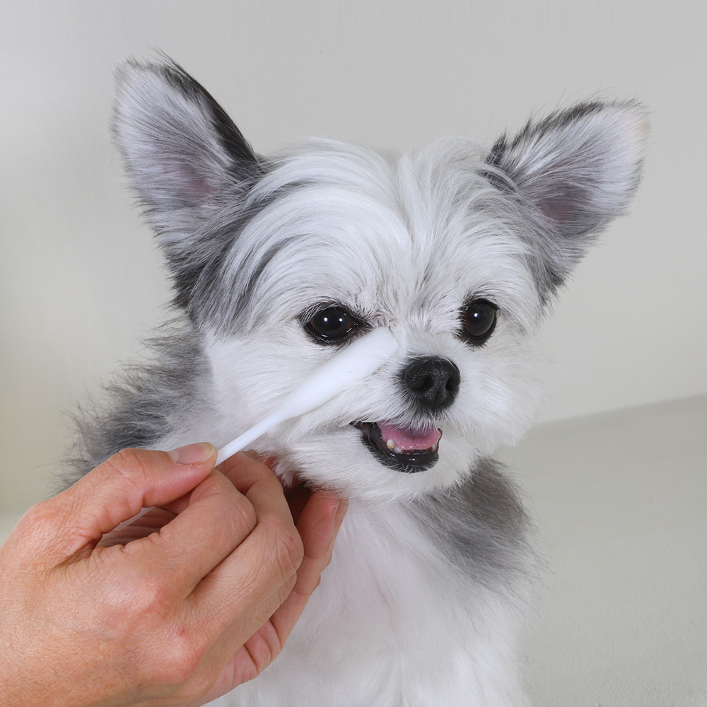 바이랩 아이클리너 강아지 눈물자국 눈 세정제 눈물냄새 눈꼽 지우개 면봉 40ml, 1개