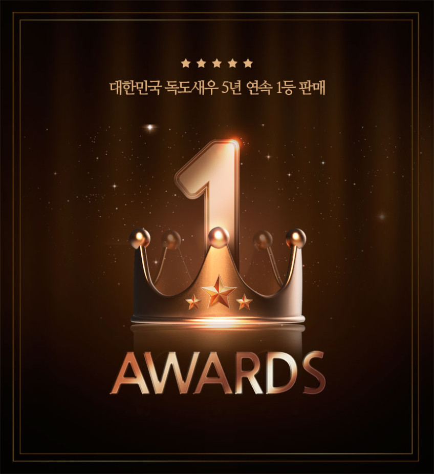 독도새우 활 꽃새우 닭 도화 버스발송 가능 판매처 상세 정보 이미지 4