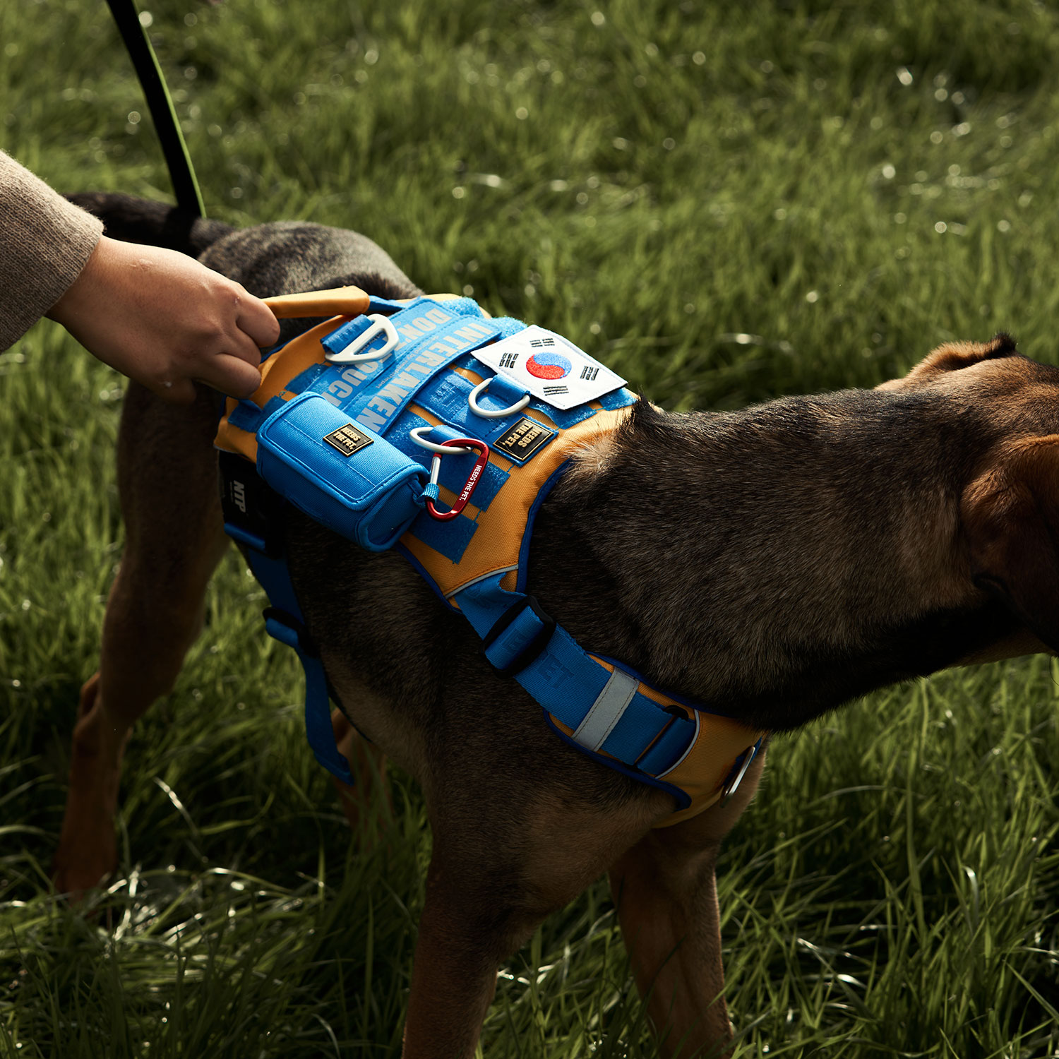 인터라켄 투톤 커스텀 강아지 하네스 소형견 앞섬방지 앞고리 가슴줄 XXS