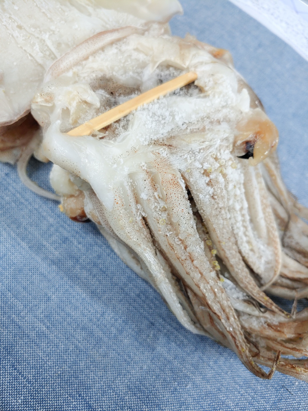 (마른총각) 동해안 반건조오징어 피데기 특대사이즈 10마리 (1.3 / 1.7kg) - 상세 이미지 5
