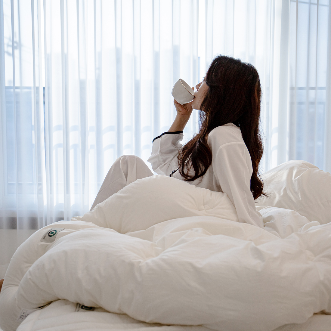 그래이불 순면 오가닉 알러지케어 호텔 차렵이불 사계절 차렵이불 SS