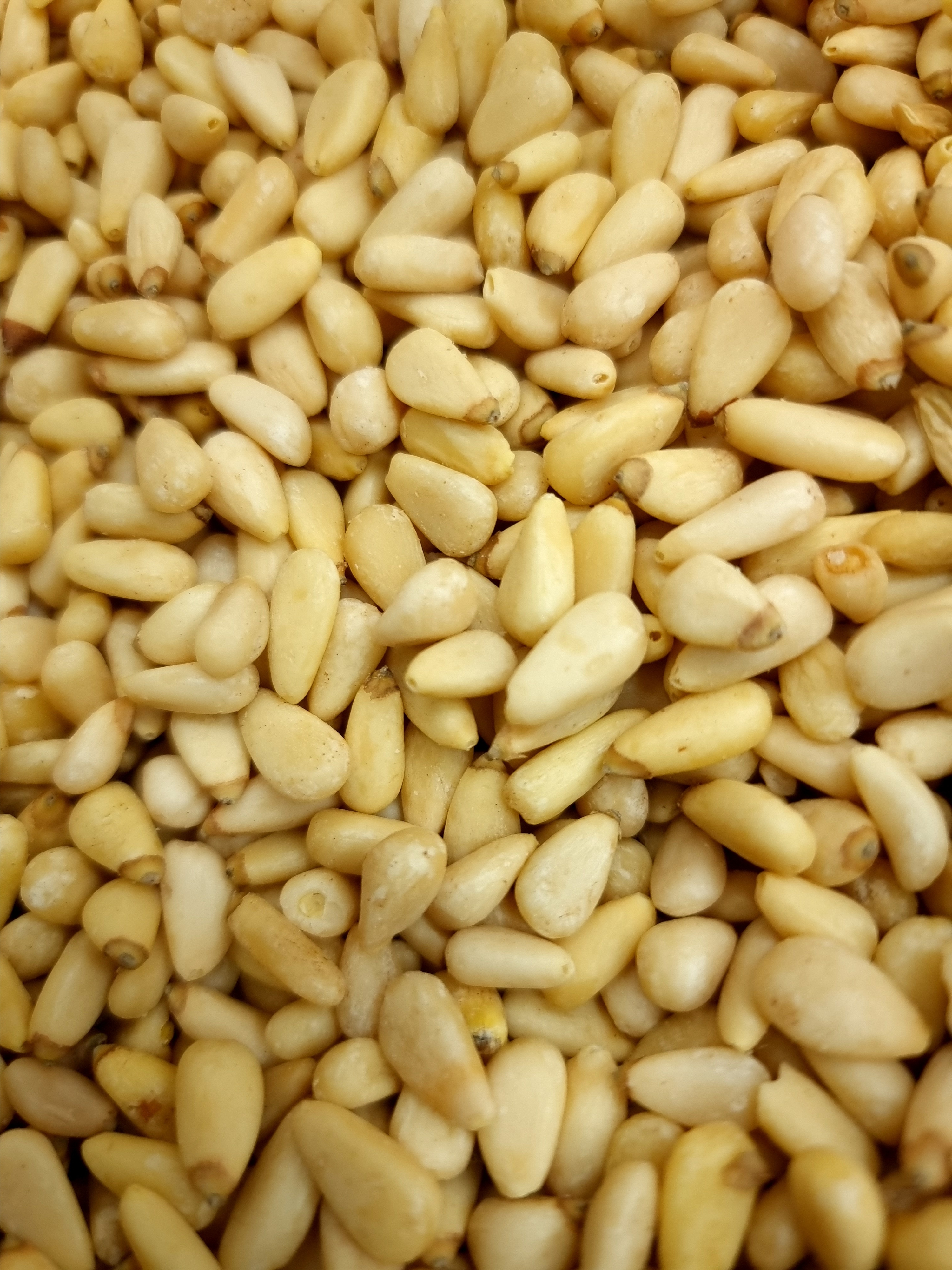 (엄마멸치) 백잣 생잣 수입잣 100g, 1개 - 상세 이미지 4