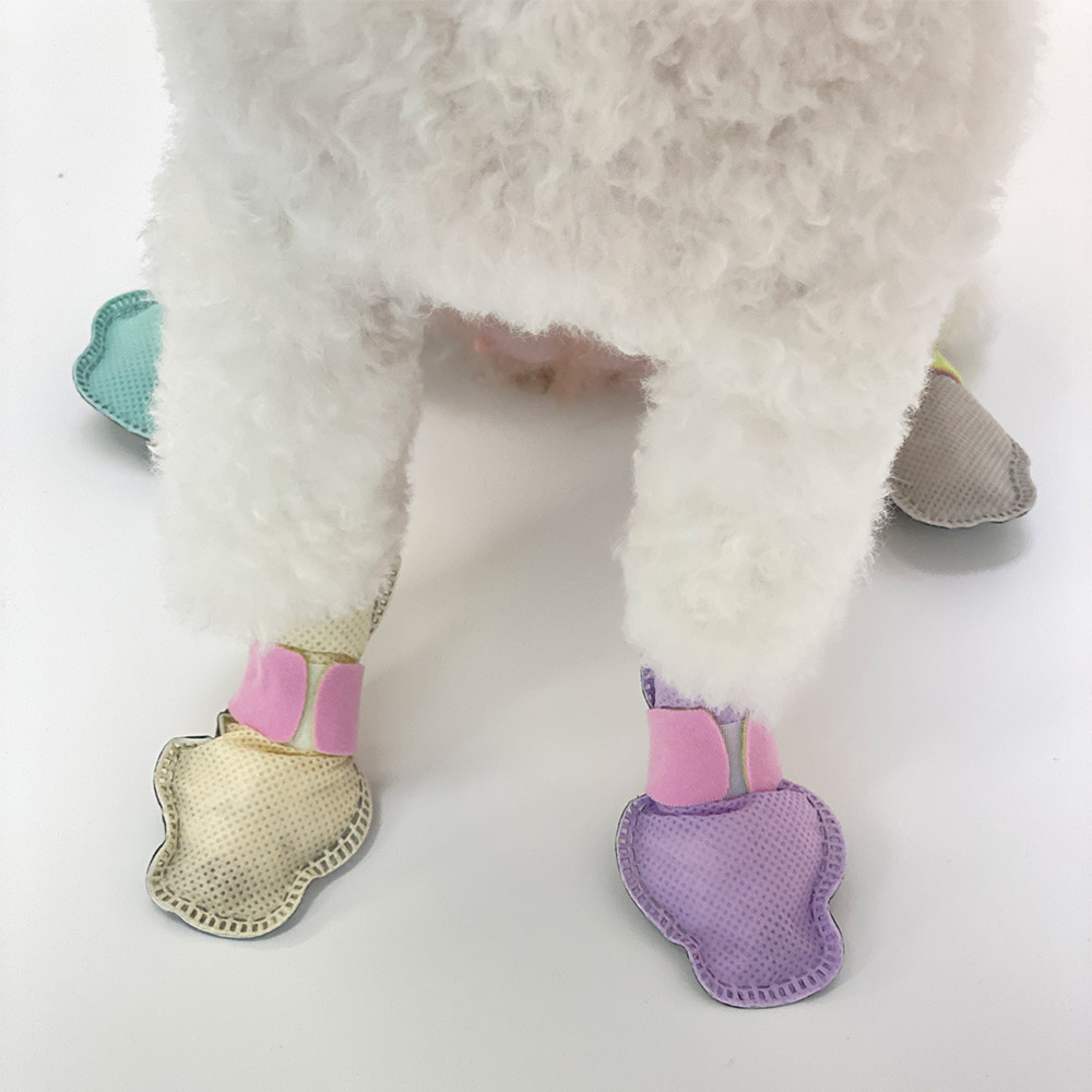 와우 숨쉬는 신나라 슈즈 강아지 일회용 신발 미끄럼 방지 36매 혼합컬러