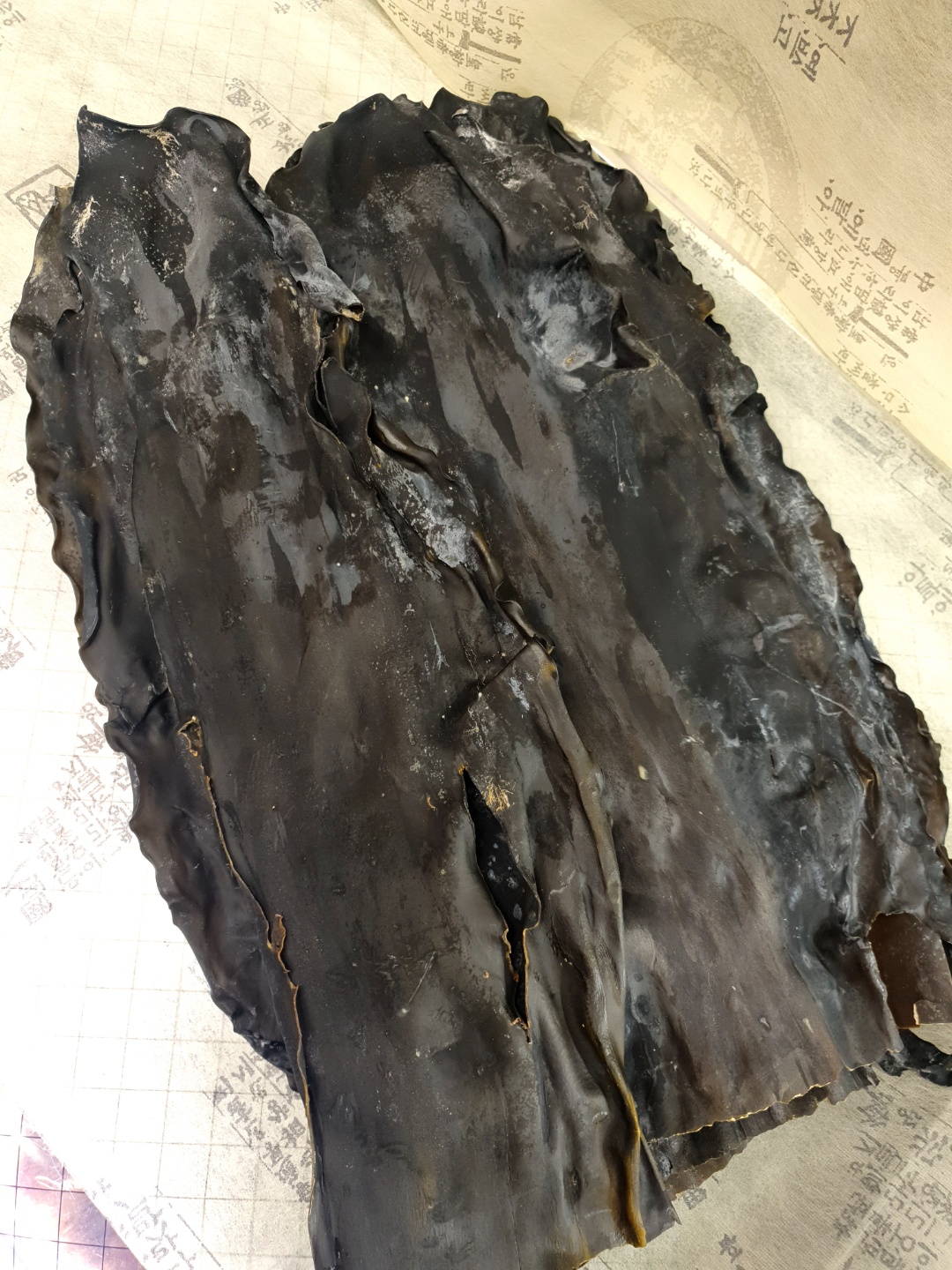 국내산 부산 기장 자연산 두툼 다시마 430g, 1개 - 상세 이미지 3