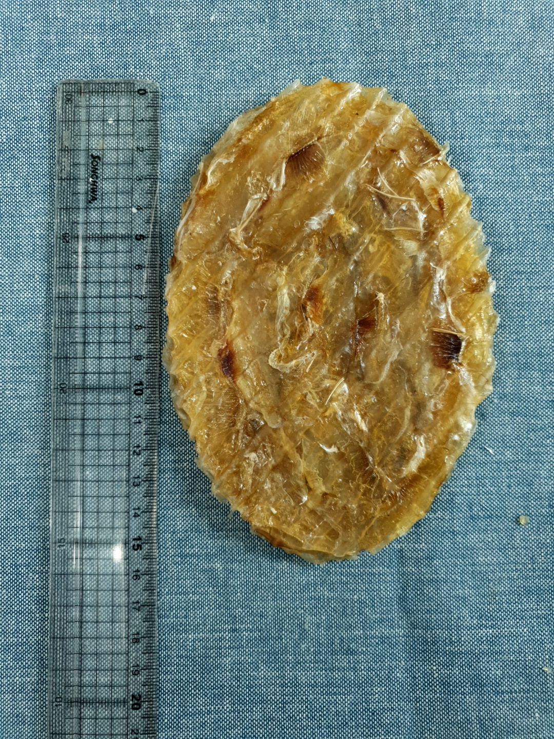 (마른총각) 추억의 쥐포 마른안주 100g, 1개 - 상세 이미지 2