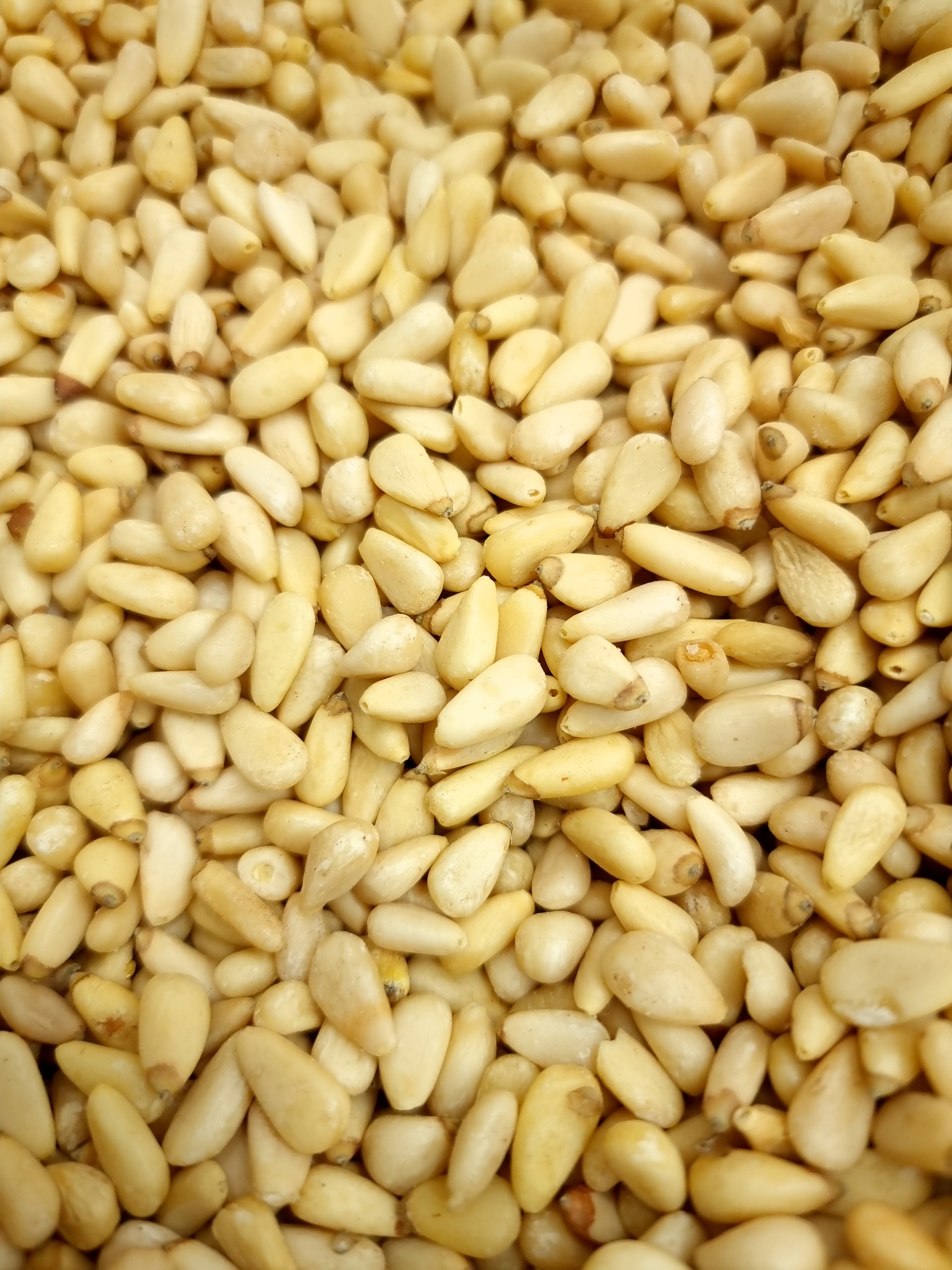 (엄마멸치) 백잣 생잣 수입잣 100g, 1개 - 상세 이미지 3