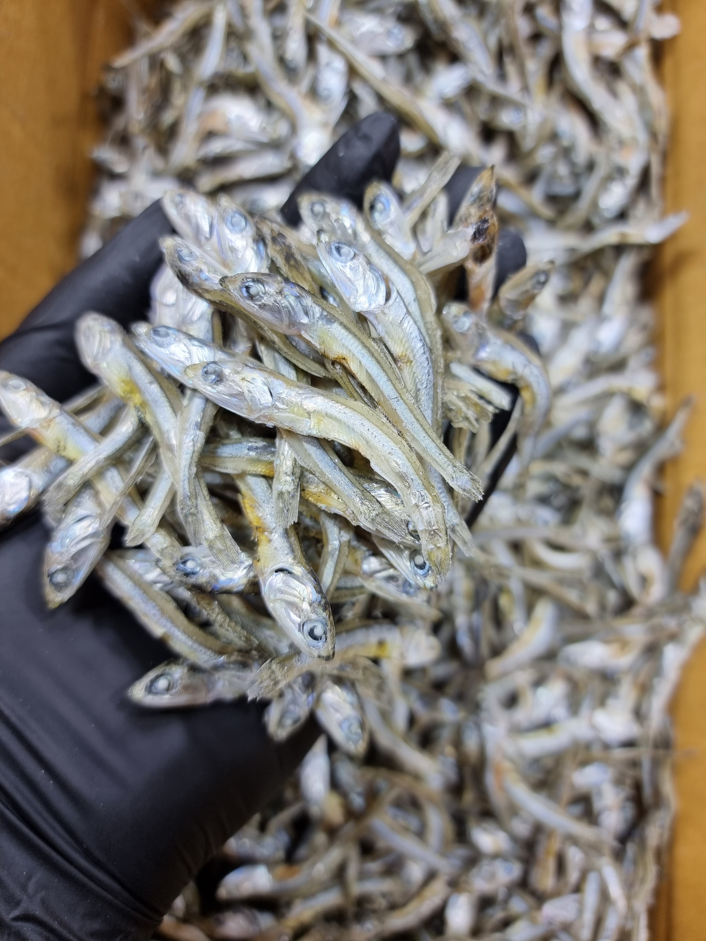 (엄마멸치) 국산 남해안 고추장 찍어먹는 고바멸치 300g, 1개 - 상세 이미지 4