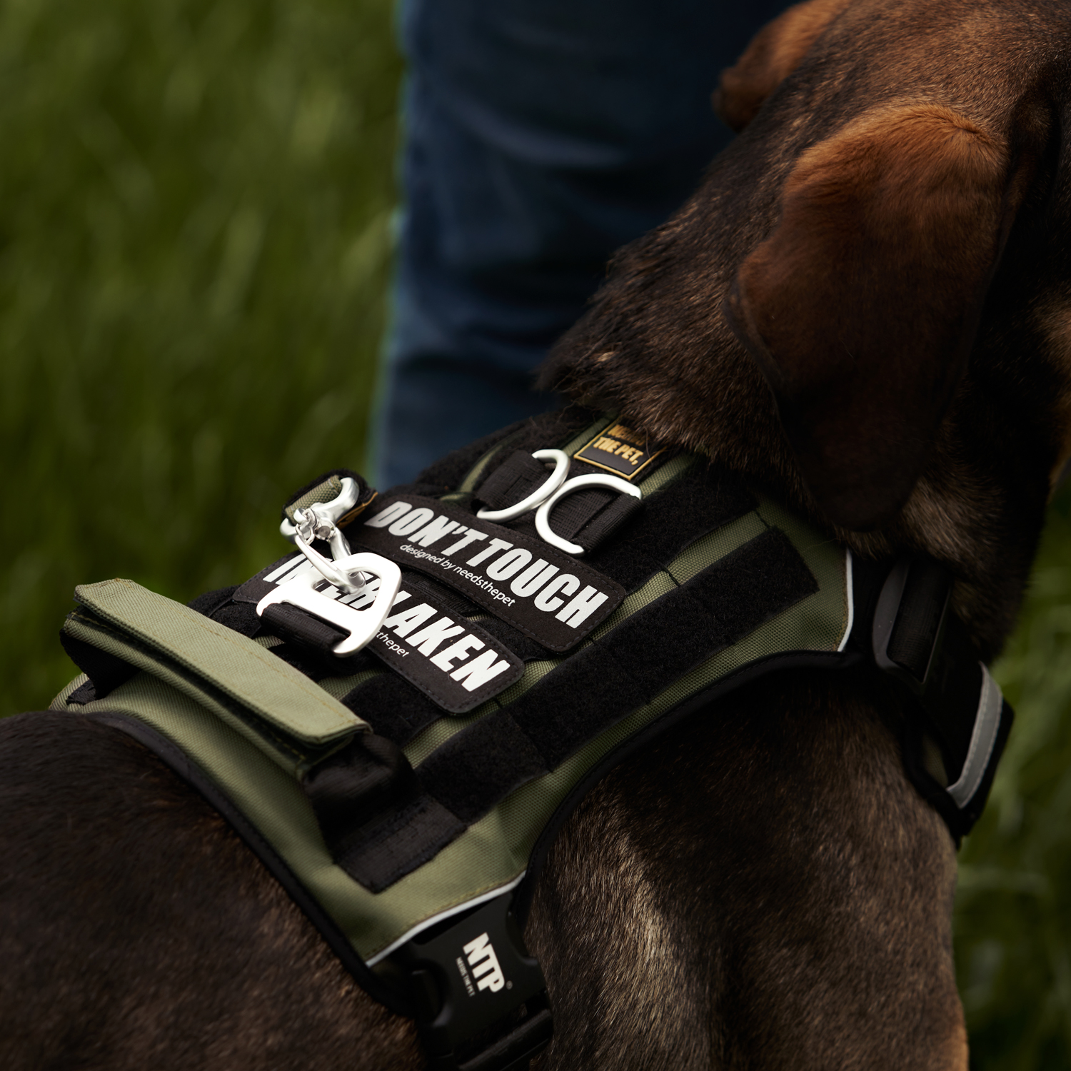 인터라켄 투톤 커스텀 강아지 하네스 소형견 앞섬방지 앞고리 가슴줄 XXS