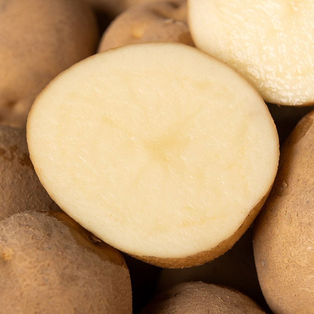 제철 햇 감자 수미 3kg 5kg 국내산