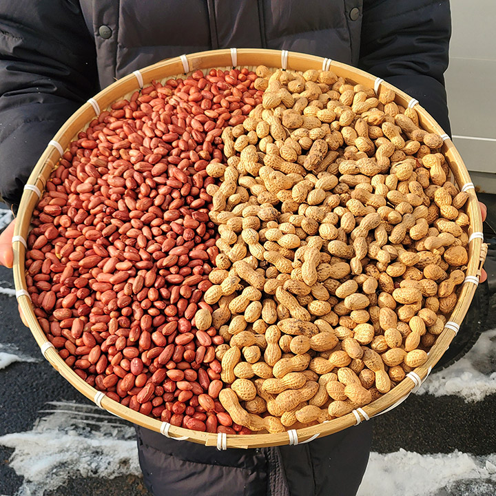 맛군 땅콩 국산땅콩 생땅콩 볶음땅콩 이미지 2