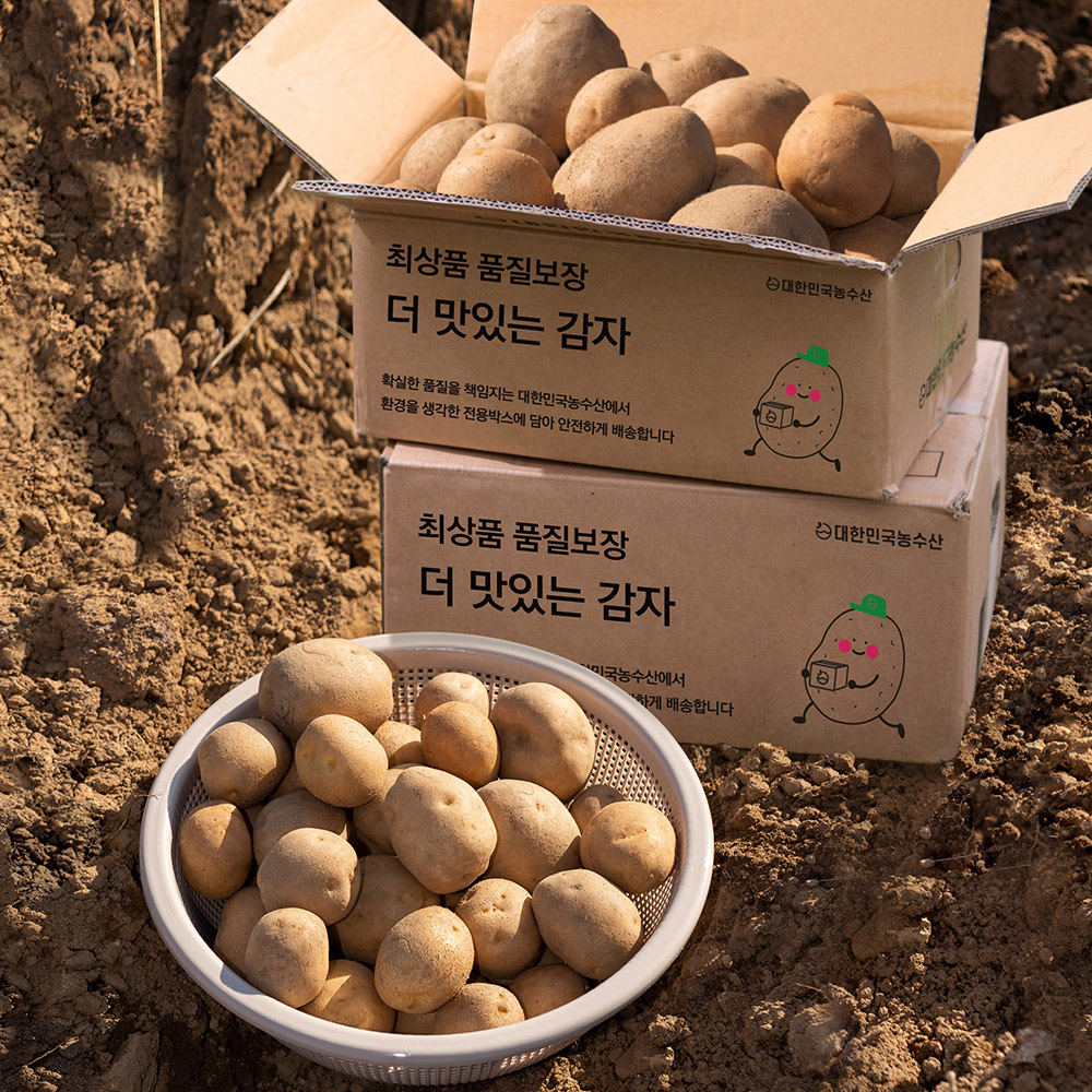 제철 햇 감자 수미 3kg 5kg 국내산