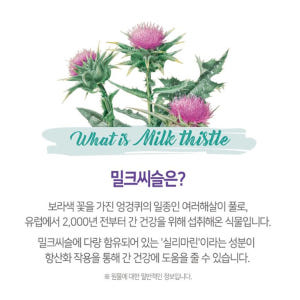 남성피로회복제 간회복 실리마린 밸런스 활력 영양 불규칙식생활 일상활력 밀... 맛있게 먹은 솔직 후기 - 상품 이미지 2