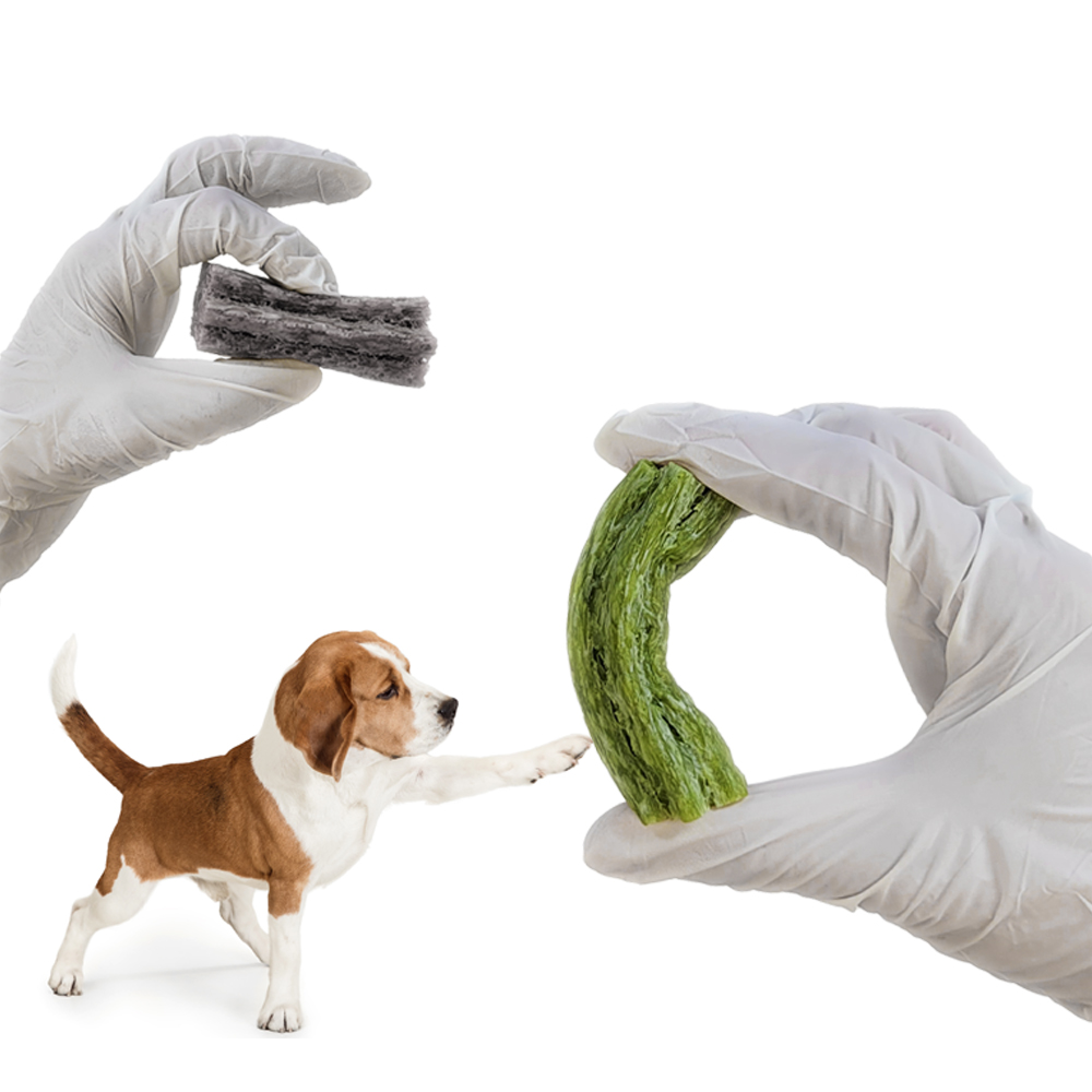 찹찹 덴탈껌 강아지 치석제거 개껌 쏨달펫 장+관절, 1kg, 120개 이미지 2