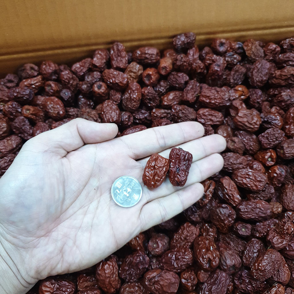경산 햇 대추 말린 건대추 상초 특초 별초 1kg - 상세 이미지 4