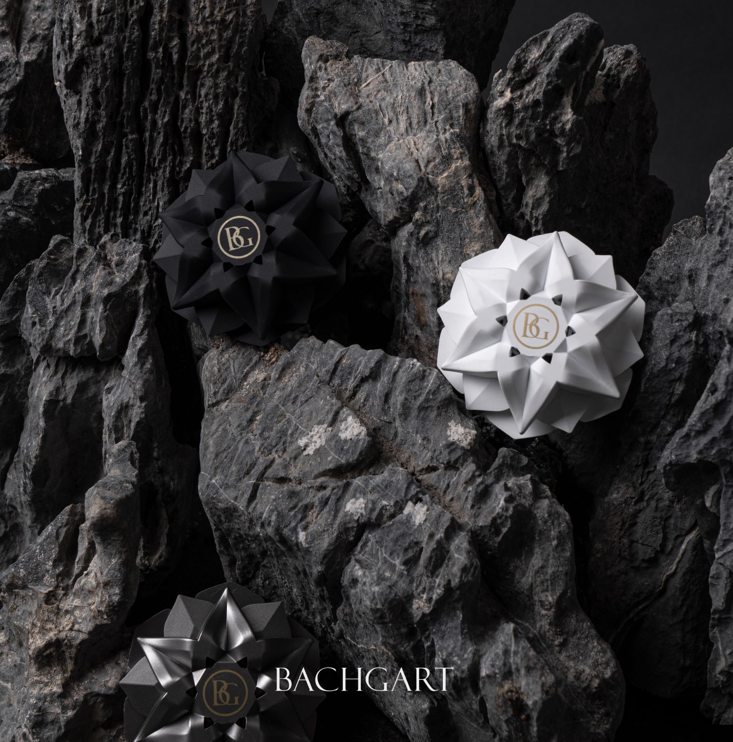 바흐가르트 스토어 로고