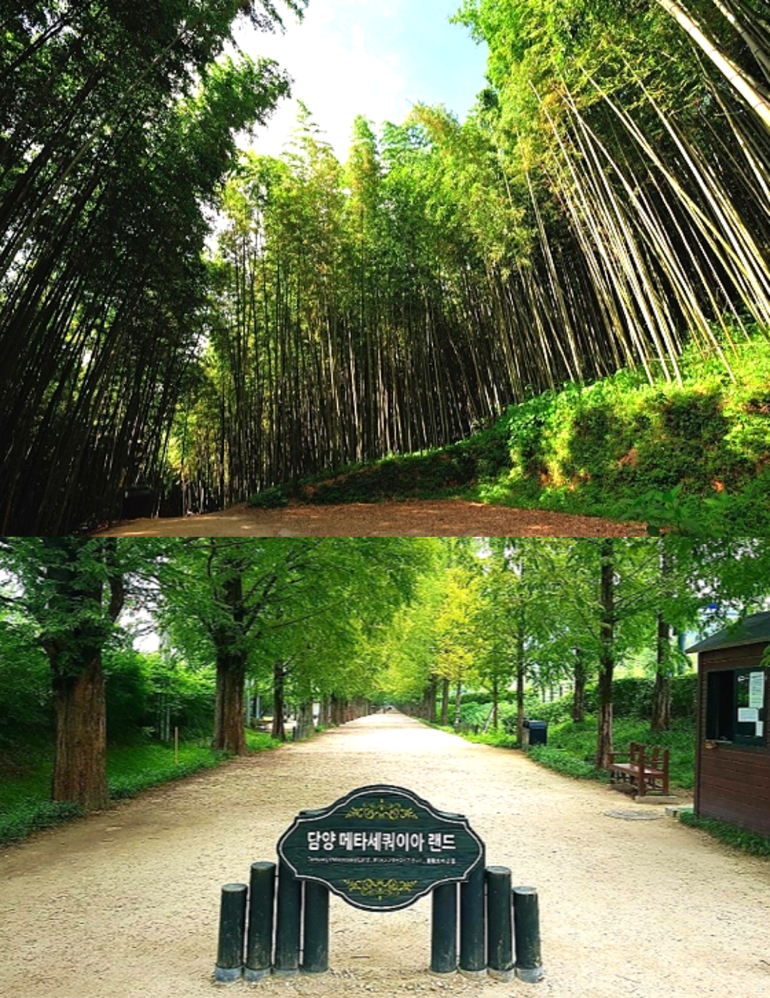 KTX 남도별미 담양 곡성 하동 케이블카 삼성궁 1박 2일 기차여행 호텔 숙박 4식 제공 - 상세 이미지 3