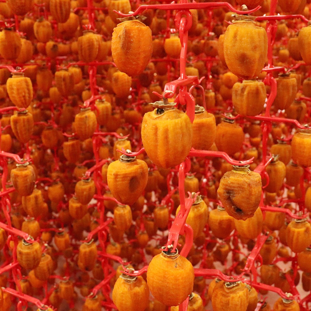 상주 곶감 건시 소과 못난이 1.5kg, 2개 이미지 7