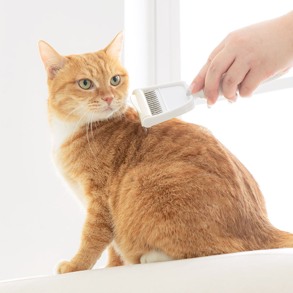 펫트리움 빗숑 브러쉬 강아지 고양이 죽은털제거 털관리