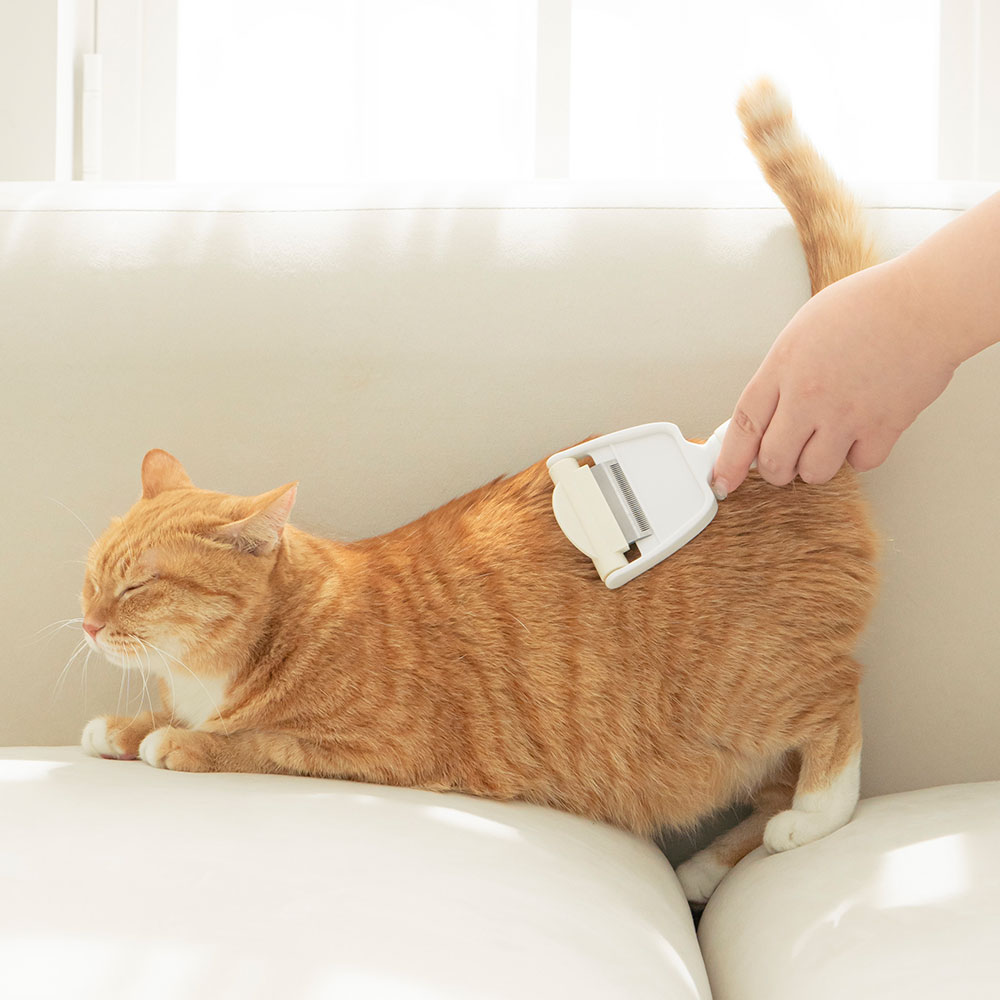 펫트리움 빗숑 브러쉬 강아지 고양이 죽은털제거 털관리