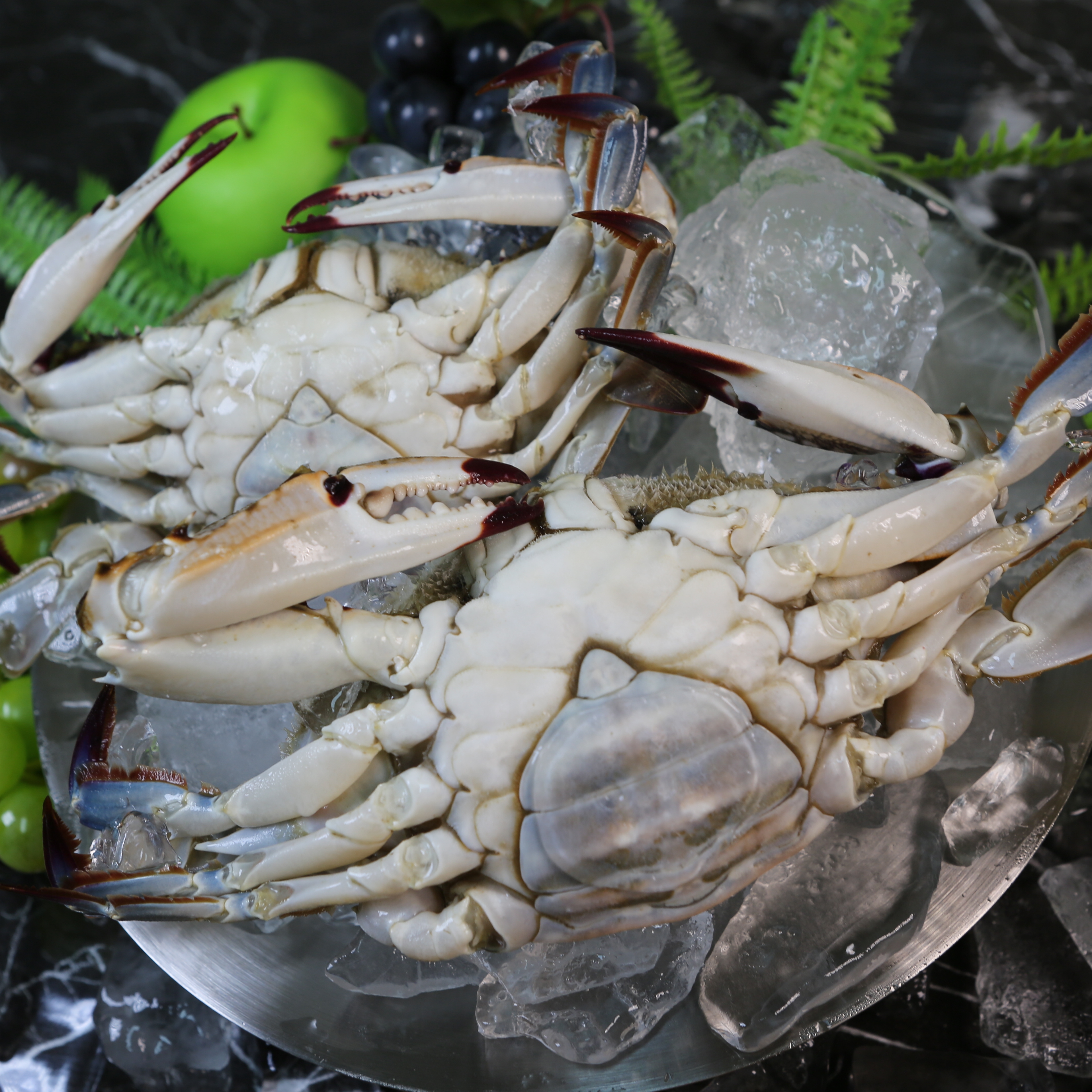 연평도 제철 꽃게 1kg 산지직송 활 급냉 숫꽃게 절단 몽당 - 상세 이미지 4