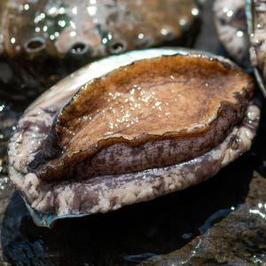 진도 활 전복 1kg 복날 선물세트 보양식 맛있게 먹은 솔직 후기 - 상품 이미지 4