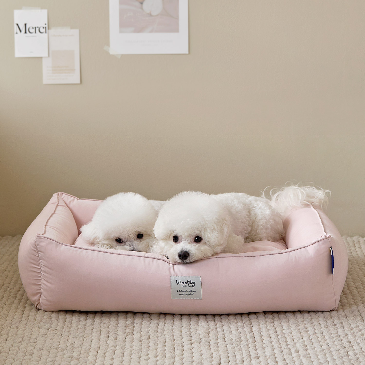 울리 포그니 알러지케어 강아지 방석 고양이 쿠션 M