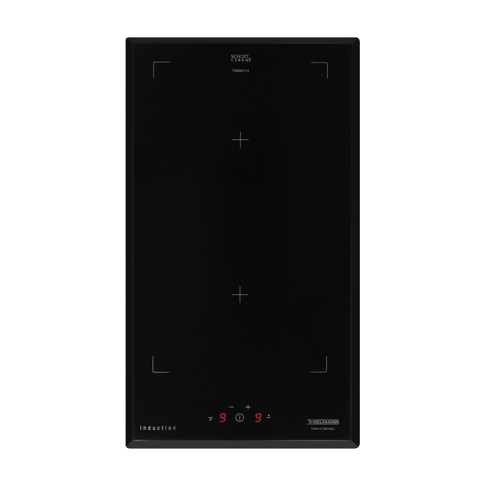 틸만 2구 인덕션 ITM-250BF