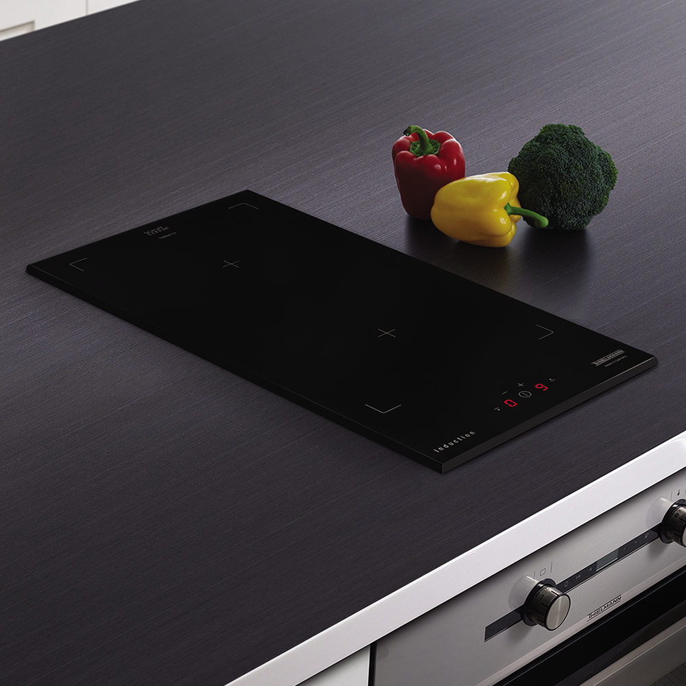 틸만 2구 인덕션 ITM-250BF