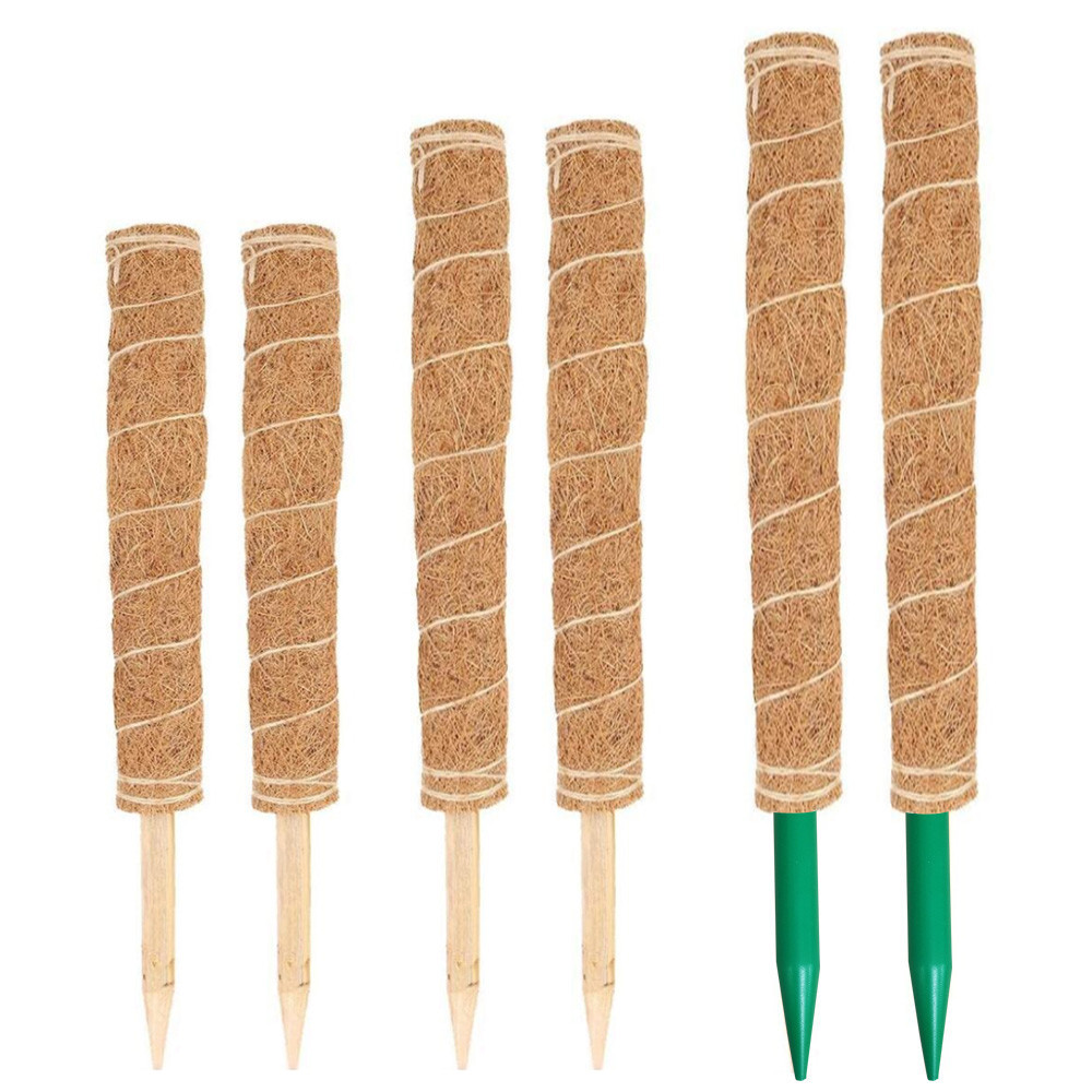 코코봉 2개 수태봉 수태 나무 30CM 식물 몬스테라 지지대 - 상세 이미지 2