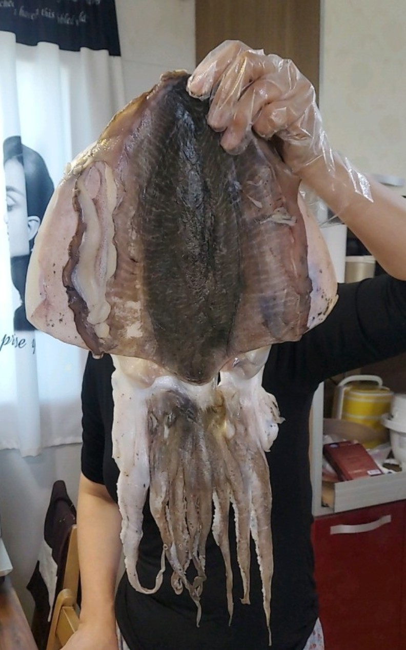 반건조 갑오징어 특대 왕특대 선택가능 업소용 호프집 인기상품