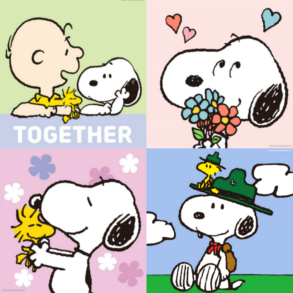 스누피 유화그리기 세트 그림 색칠하기 DIY 사랑해 10x15