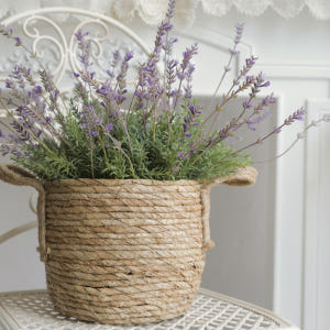 프렌치 라벤더 식물 인테리어 조화 실사용 후기 | 효과 있을까? - 상품 이미지 2