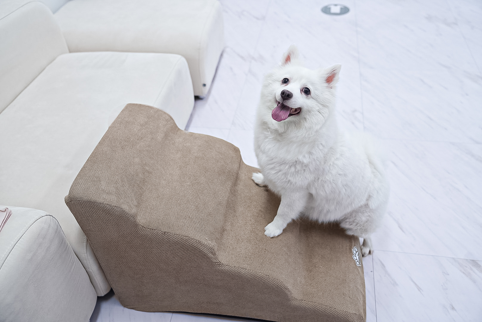 올미오펫 올패브릭 강아지 계단 펫 스텝 논슬립 반려견 애견 슬라이드 곡선 강아지 계단 2단