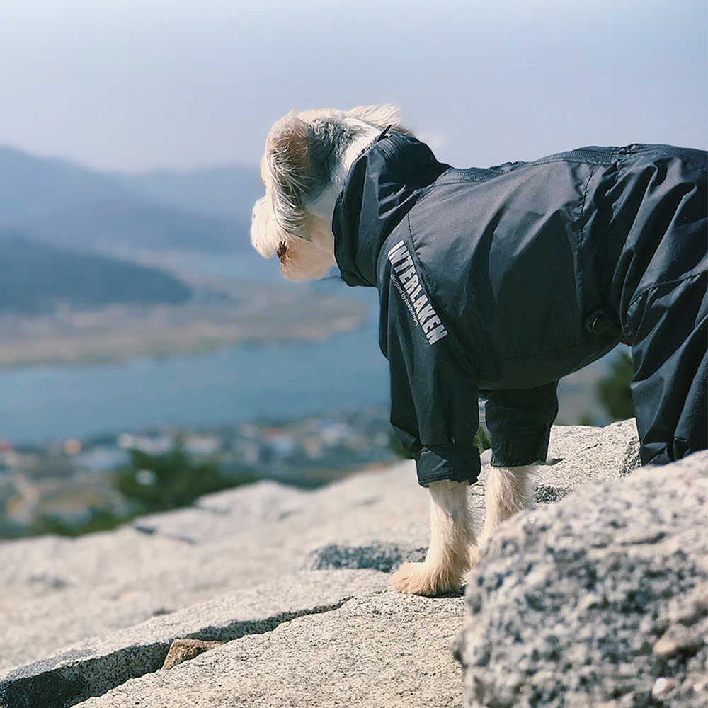 인터라켄 소형견 강아지옷 올인원 바람막이 윈드브레이커 우비 우의 S 이미지 7