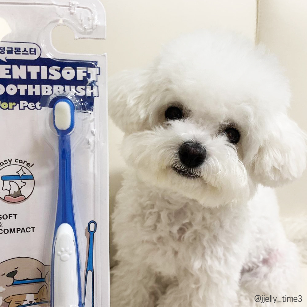 정글몬스터 덴티소프트 칫솔 M 1개입, 1개