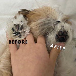 정글살롱 4in1 강아지 애견 바리깡 이발기 멀티트리머 초보자용 발바닥 ... 솔직 후기 | 실제 사용자 리뷰 총정리 - 상품 이미지 4