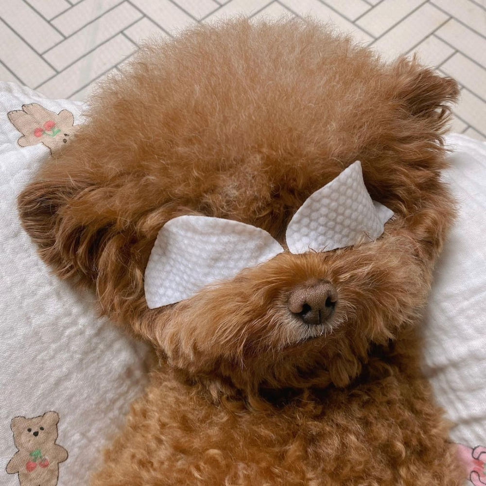 제품 비교 이미지