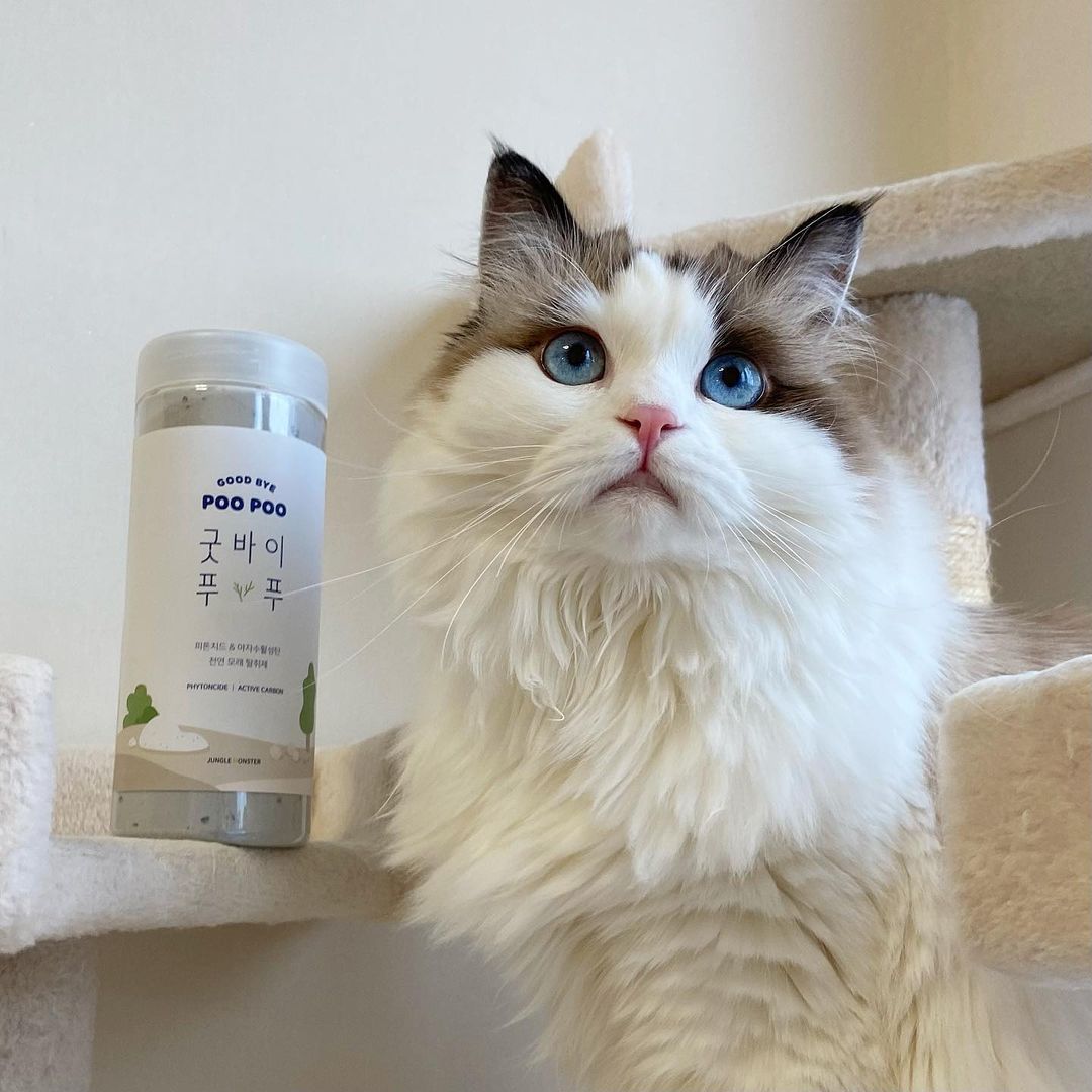 정글몬스터 고양이 화장실 모래 오줌 똥 냄새 제거 활성탄 탈취제 굿바이푸푸