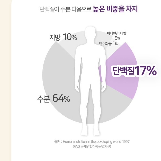 한끼대용쉐이크 다이어트 미숫가루 아침대용식 저녁식사대용 이미지 8
