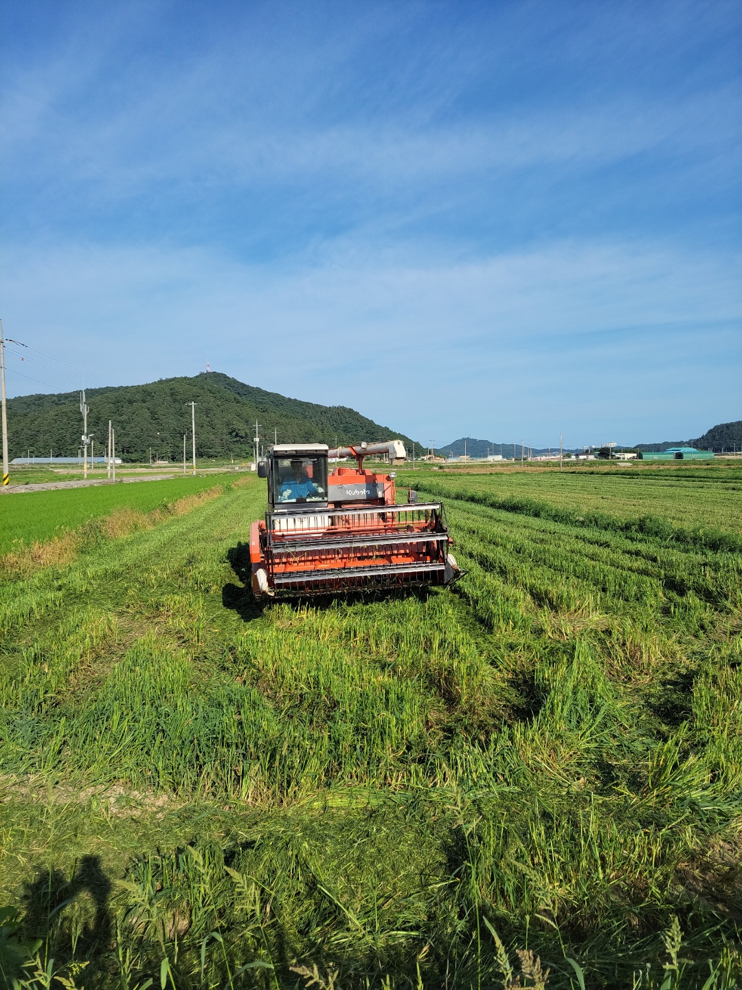 25년산 귀리 국산 유기농 귀리쌀 1kg + 1kg [총2kg]
