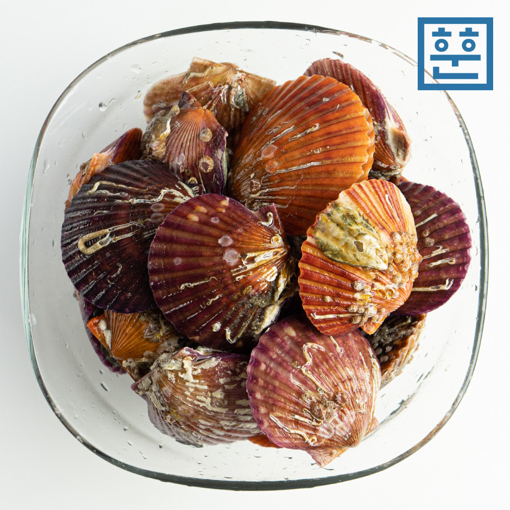 통영 홍가리비 비단가리비 1kg - 상세 이미지 4