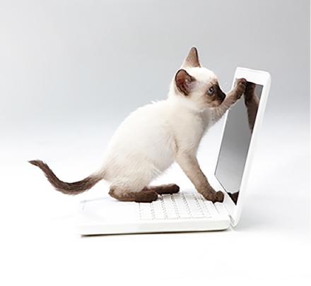 사생활보호 모니터 보안필름 BozaBoza 프라이버시필름 옆보기방지필터 이미지 6