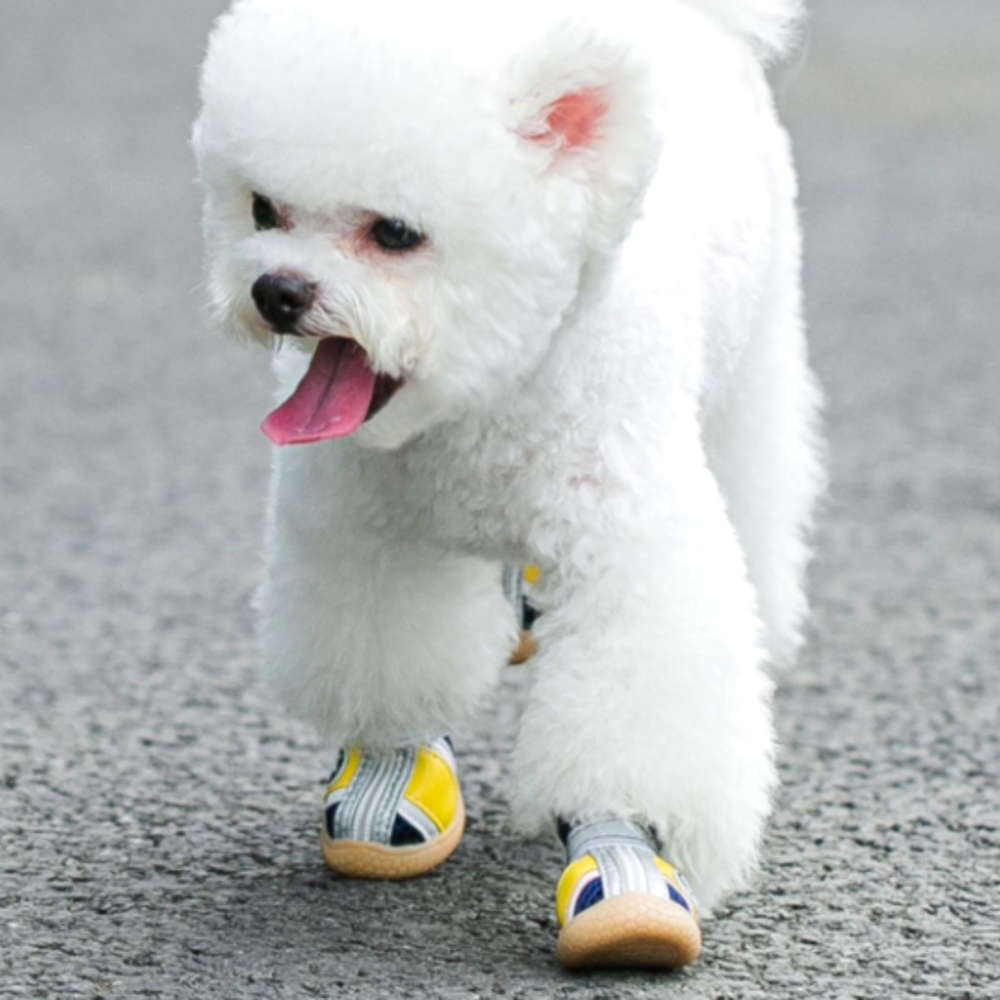 퍼플펫 강아지 신발 부츠 장화 레인부츠 애견 별슈즈